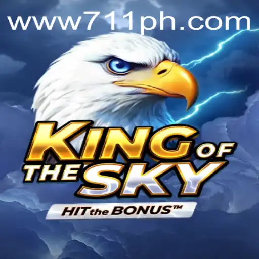 KingOfTheSky: Conquer the Virtual Skies with 711ph